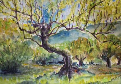 Olivenbaum bei Mykene, 2019, 30 x 21 cm, Aquarellmit Paßpartout